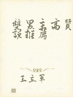 双男主高质量小说推荐