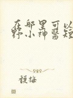 在哪里可以看狂野小神医短剧