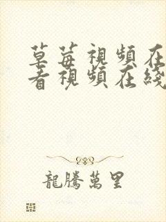 草莓视频在线观看视频在线观看