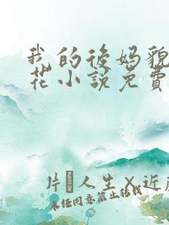 我的后妈貌美如花小说免费下载