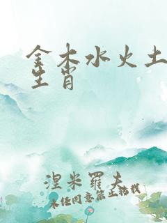 金木水火土12生肖