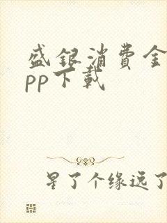 盛银消费金融app下载