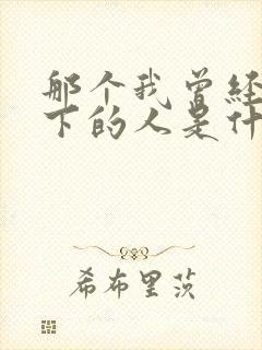 那个我曾经放不下的人是什么歌