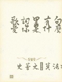 歌词里有句好好爱你是什么歌