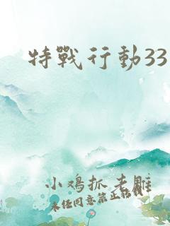 特战行动33集