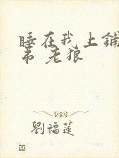 睡在我上铺的兄弟 老狼