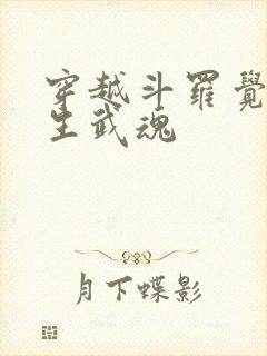 穿越斗罗觉醒四生武魂