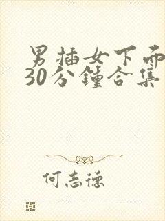 男插女下面视频30分钟合集