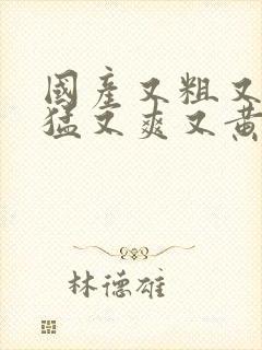 国产又粗又长又猛又爽又黄的视频