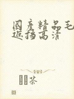 国产精品毛片无遮挡高清