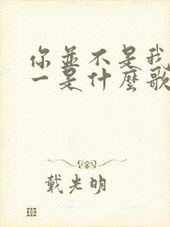 你并不是我的唯一是什么歌