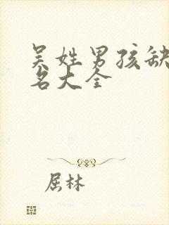 吴姓男孩缺金取名大全