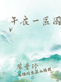 午夜一区国产av