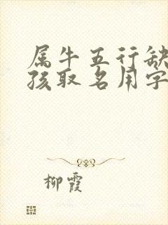 属牛五行缺火男孩取名用字