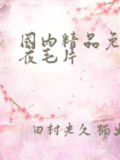 国内精品免费午夜毛片