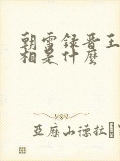 朝雪录晋王案真相是什么