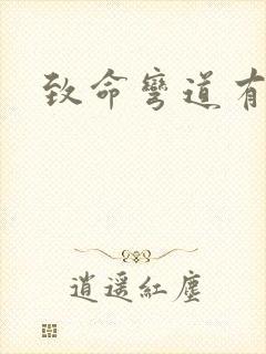 致命弯道有几集