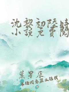 沈黎初陆时霁的小说免费阅读全文