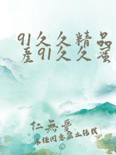 91久久精品国产91久久蜜臀免费在线观看