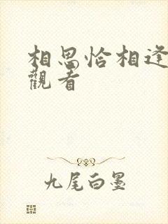 相思恰相逢免费观看