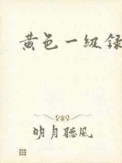 黄色一级录象片