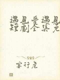 遇见爱遇见幸福短剧全集免费看