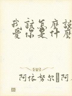 我该怎么说我不爱你是什么歌