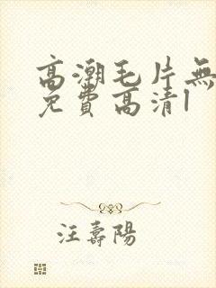 高潮毛片无遮挡免费高清l