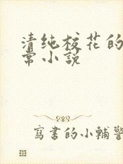 清纯校花的被日常小说