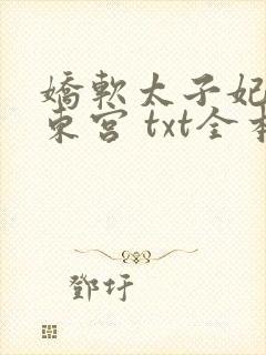 娇软太子妃宠冠东宫 txt全本