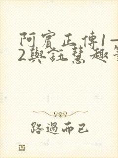 阿宾正传1—72与钰慧趣笔阁txt