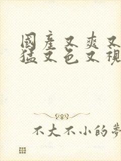 国产又爽又粗又猛又色又视频