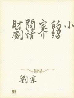 财阀家的小儿子剧情介绍