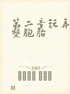 第二章玩弄校花双胞胎