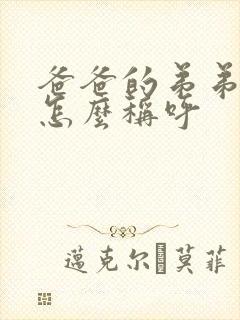 爸爸的弟弟老婆怎么称呼