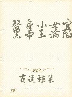 替身小女官,腹黑帝王沦陷了大结局哪里看