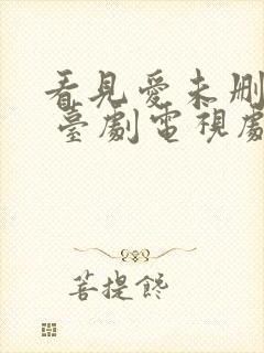 看见爱未删减版 台剧电视剧高清免费观看