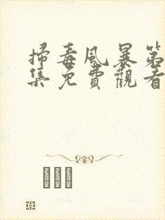 扫毒风暴第29集免费观看