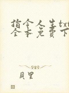 指令人生txt全本免费下载