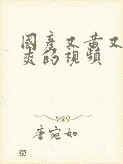 国产又黄又粗又爽的视频