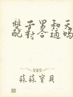 双子男和天秤女配对合适吗