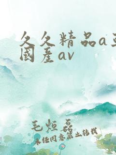 久久精品a亚洲国产av