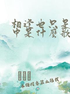 相逢也只是在梦中是什么歌的歌词