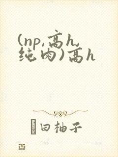 (np,高h,纯肉)高h