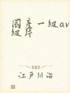 国产一级av一级片