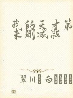 我的天才第一季未删减版