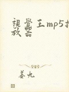 视觉王mp5播放器