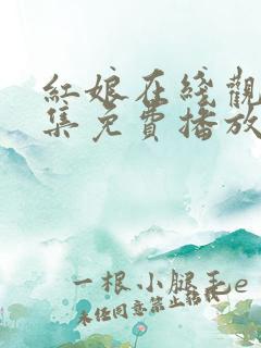 红娘在线观看全集免费播放高清