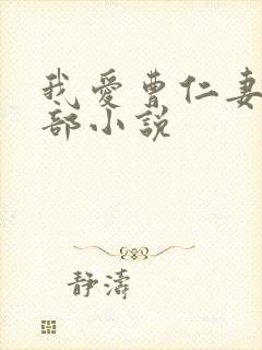 我爱曹仁妻的4部小说