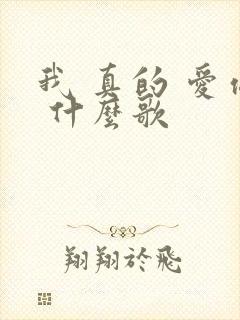 我 真的 爱你 什么歌
